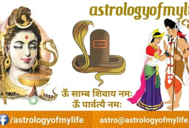 astrologyofmylife-bhav