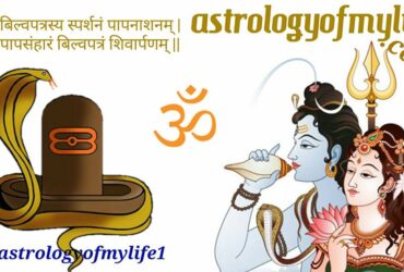 astrologyofmylife-om