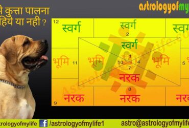 dog-at-home-astrologofmylife