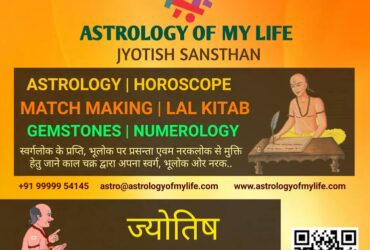 jyotish slaha astroarjuna