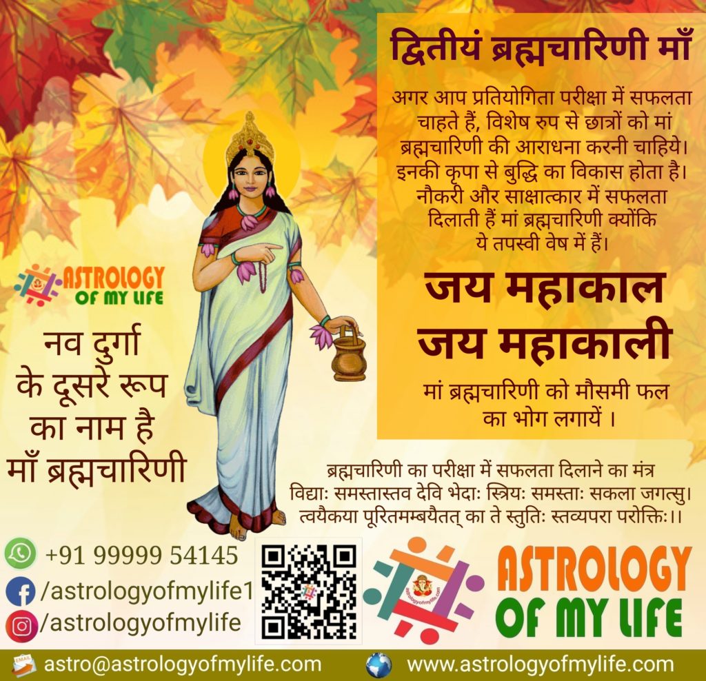 astrology of my life - Navratri Durga - Jai Mahakaal - Jai Mahakaali - Acharya Arya - Best Astrologer in Rohini Delhi - India